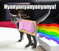 Nyan Cat / Pop Tart Cat