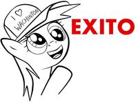 Pony Reactions