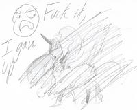 f29.jpg