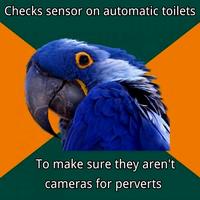 Paranoid Parrot