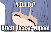 YOLO