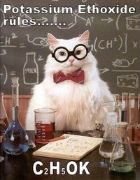 Chemistry Cat
