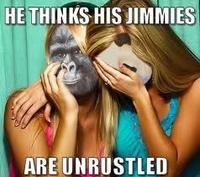 That Really Rustled My Jimmies