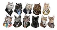 LOLcats
