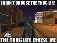 d69.jpg