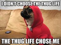 I Didn't Choose The Thug Life, The Thug Life Chose Me