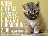 When Gotham is Ashes, You Have My Permission to Die