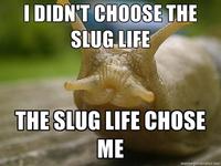 I Didn't Choose The Thug Life, The Thug Life Chose Me