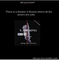 Did You Know?