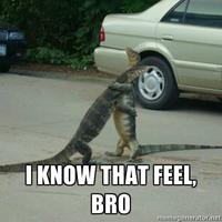 I Know That Feel Bro
