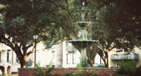 Cinemagraphs
