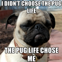 I Didn't Choose The Thug Life, The Thug Life Chose Me