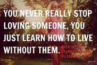 Instagram Quote Rebuttals / Hipster Edits