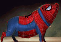 Spider-Pig / Harry Plopper