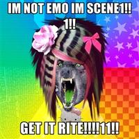 Scene Wolf