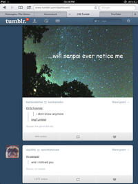 I Hope Senpai Will Notice Me