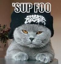 LOLcats
