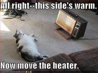 LOLcats