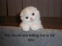 LOLcats