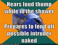 Paranoid Parrot