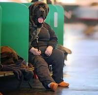 Perfectly Timed Photos
