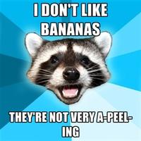 Lame Pun Coon
