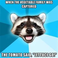 Lame Pun Coon