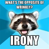 Lame Pun Coon