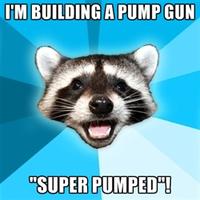 Lame Pun Coon