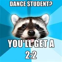 Lame Pun Coon