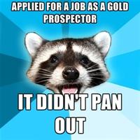 Lame Pun Coon