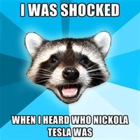 Lame Pun Coon