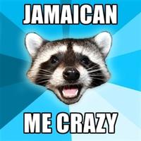 Lame Pun Coon