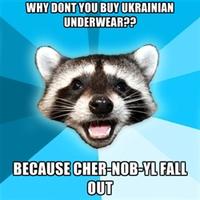 Lame Pun Coon