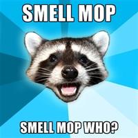 Lame Pun Coon