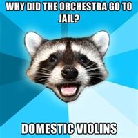 Lame Pun Coon