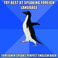 Socially Awkward Penguin