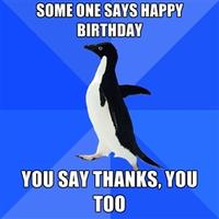 Socially Awkward Penguin