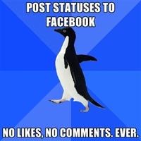 Socially Awkward Penguin