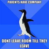 Socially Awkward Penguin