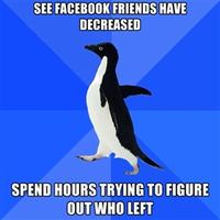 Socially Awkward Penguin