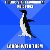 Socially Awkward Penguin