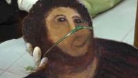 Botched Ecce Homo Painting