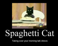 Spaghetti Cat