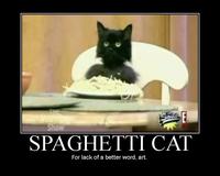 Spaghetti Cat