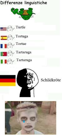 Differenze Linguistiche