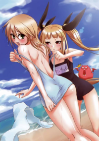 Rule 34