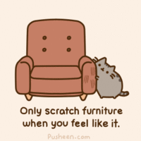 Pusheen