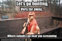 Dogs