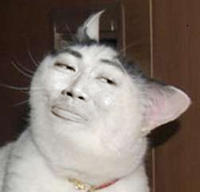 Reaction Faces